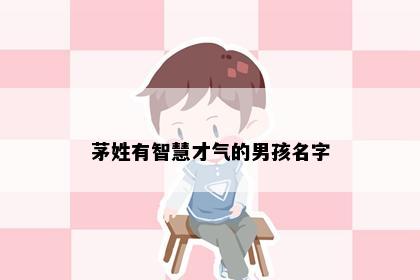 茅姓有智慧才气的男孩名字