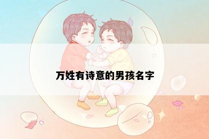 万姓有诗意的男孩名字