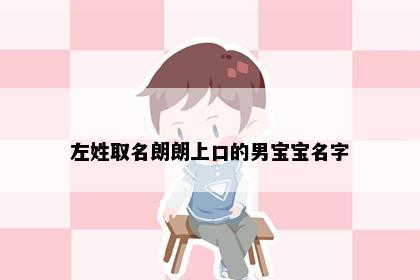 左姓取名朗朗上口的男宝宝名字